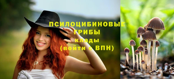 мет Армянск