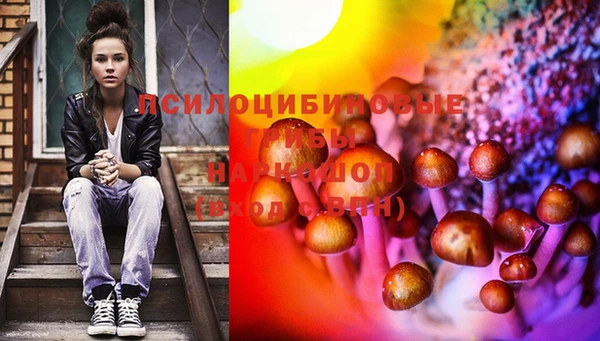 мяу мяу мука Арсеньев