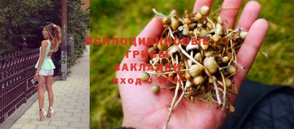 мяу мяу мука Арсеньев