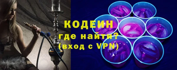 индика Сатка
