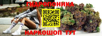 сатива Коммунар