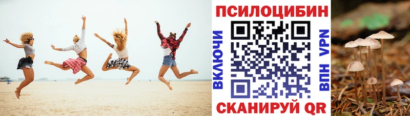 магазин    Кемерово  Галлюциногенные грибы MAGIC MUSHROOMS 