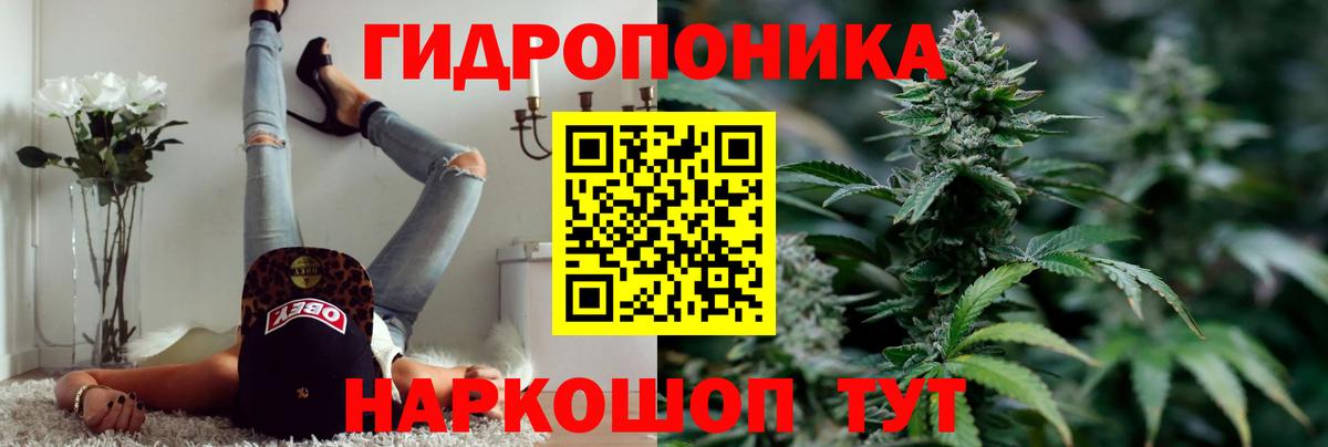 МАРИХУАНА ГИДРОПОН Кемерово